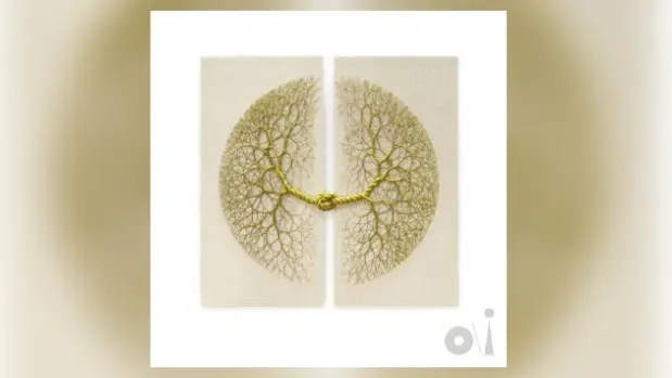 m_beenundone_010526156664