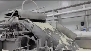 rewt-768x439449388-1