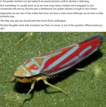 huron-river-leafhopper836596