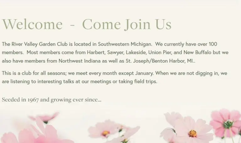 yryrryd-768x457416166-1