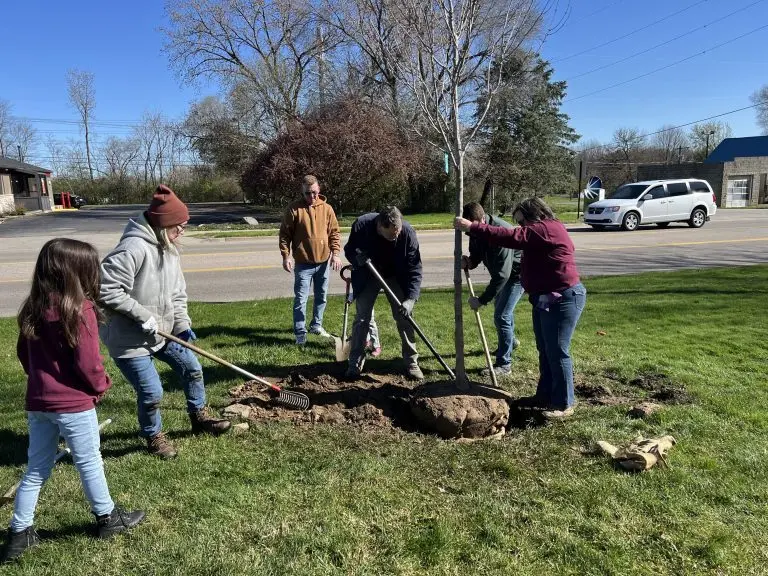 btf-spring-planting-2024-3-768x576477791-1
