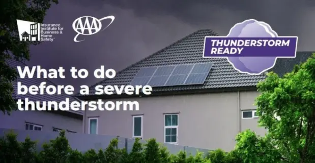 sfwr3-768x399685989-1