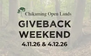 ferfwfww-768x477817243-1