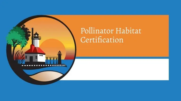 fdfdefeee-768x428588716-1