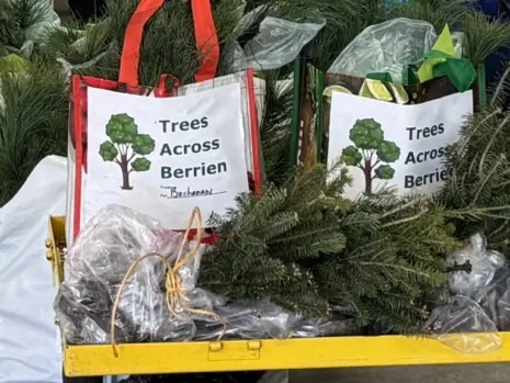 Trees Across Berrien