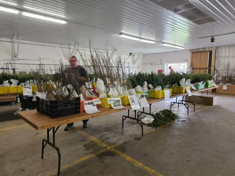 1000025555-768x576417521-1