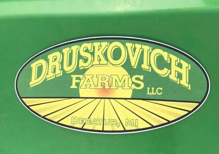 grgry4-768x541350340-1