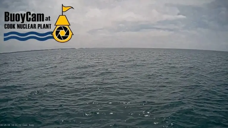 ba-ba-buoy-768x43117115-1
