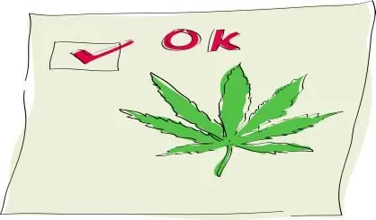 marijuana-safe21580