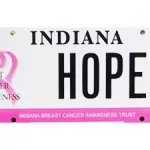 breast-cancer-license-plate-jpg-2