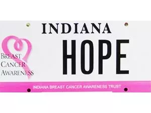 breast-cancer-license-plate-jpg-2