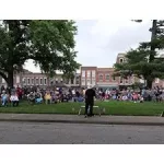 no-king-pic-jpg