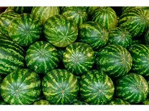 watermelons_motion-array-jpg