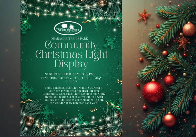 christmas-lights-2025