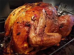 thanksgiving-turkey_motion-array-jpg