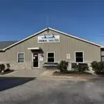 vincennes-animal-shelter-may-2025-jpg-2