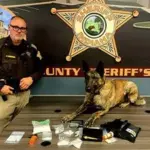 linenburgblast-jpg-2