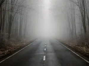 foggy-road-2-mid-winter-no-snow-_bt-jpg