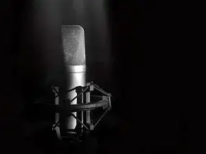 mic-1-_motion-array-jpg-2