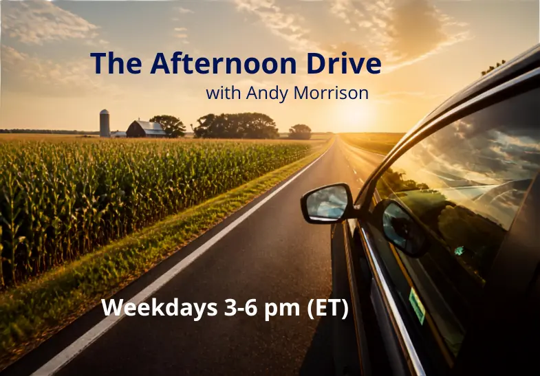 the-afternoon-drive-wandy-morrison