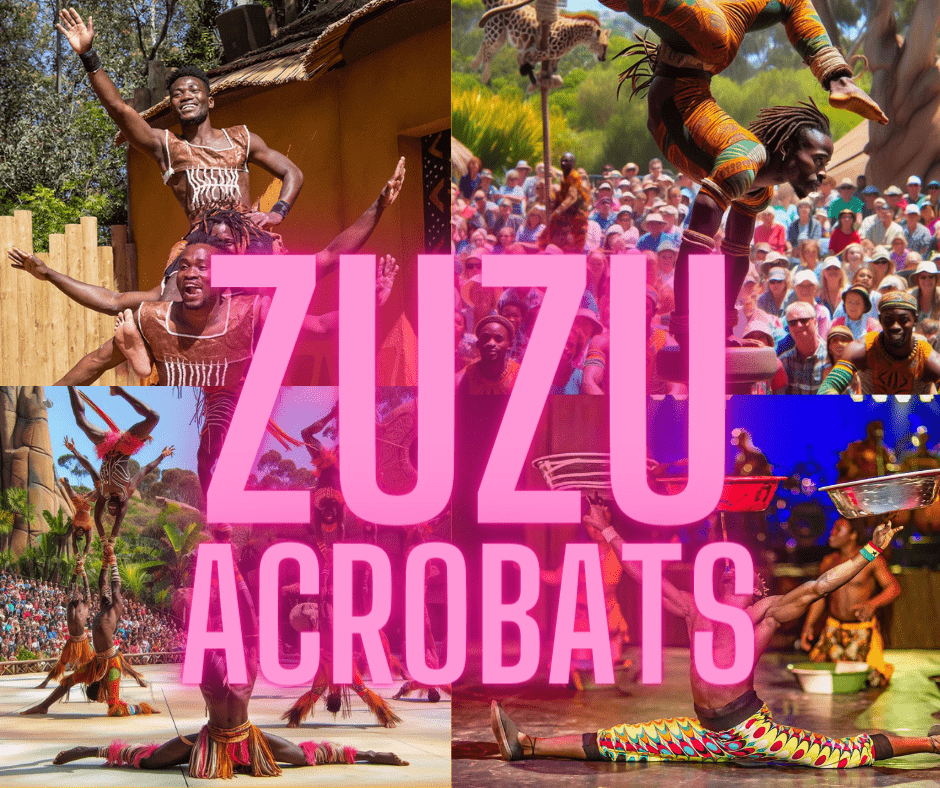 zuzu-acrobats-1-png-2