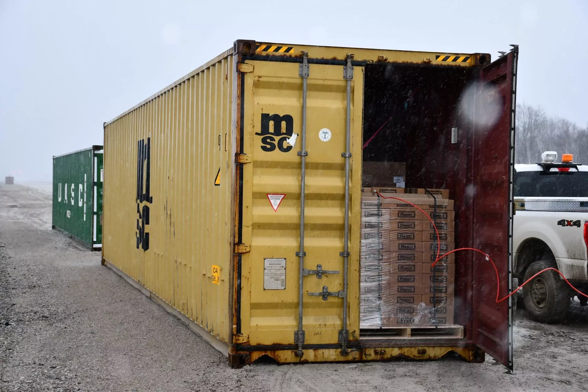 beetle-shipment-cargo-jpg