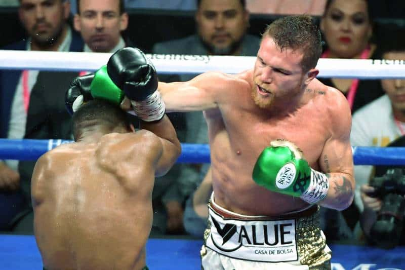 canelo-2