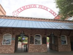 cameron-park-zoo