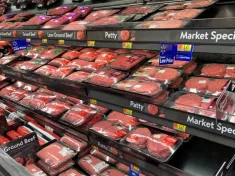 Different types and lean ratings of ground beef^ pork and chicken at the local Walmart. Clinton^ Missouri / USA- March 17^2019