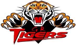 tigers-3