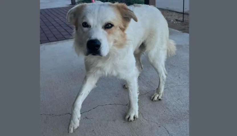 untitled-2025-11-05t063515-293