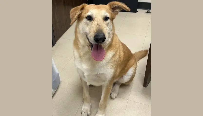 untitled-2025-11-12t091816-721