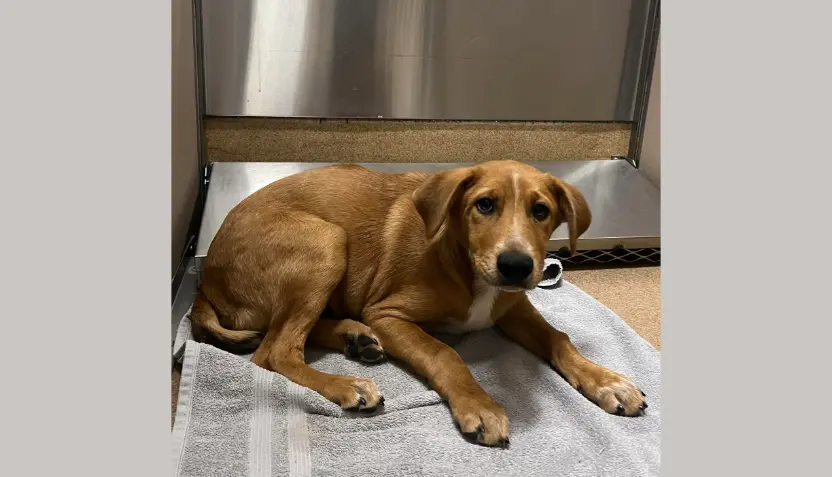 untitled-2025-12-03t052029-792