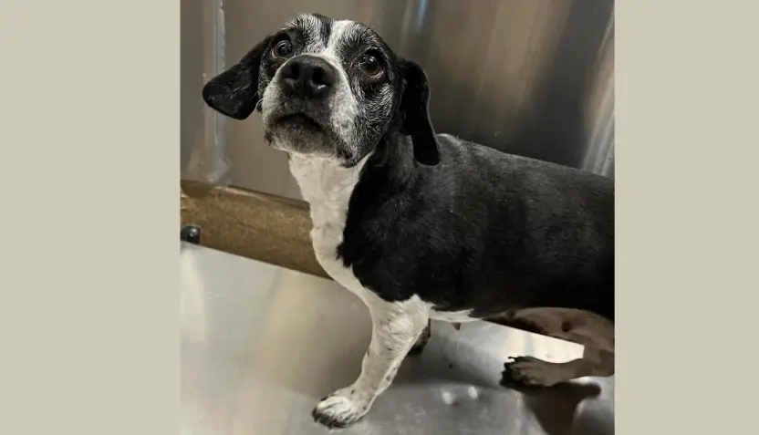 untitled-2025-12-10t094346-947