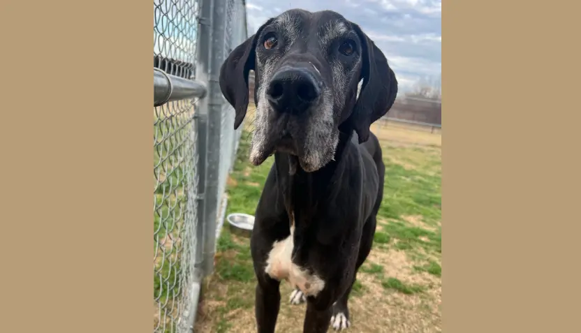 untitled-2026-01-07t084902-241