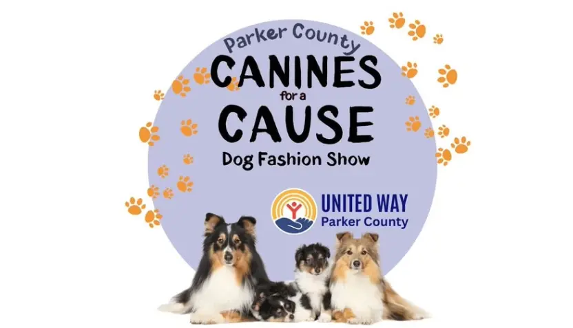 untitled-2026-01-19t090348-212