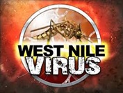 wpid-west-nile-virus