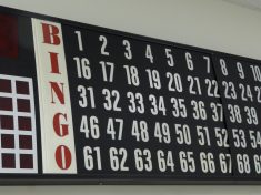 bingo-dodgertonskillhause-on-morguefile