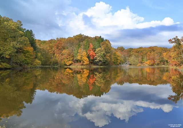 Brown County Leaf Cam Is Back On Line | 104.9 WAXI