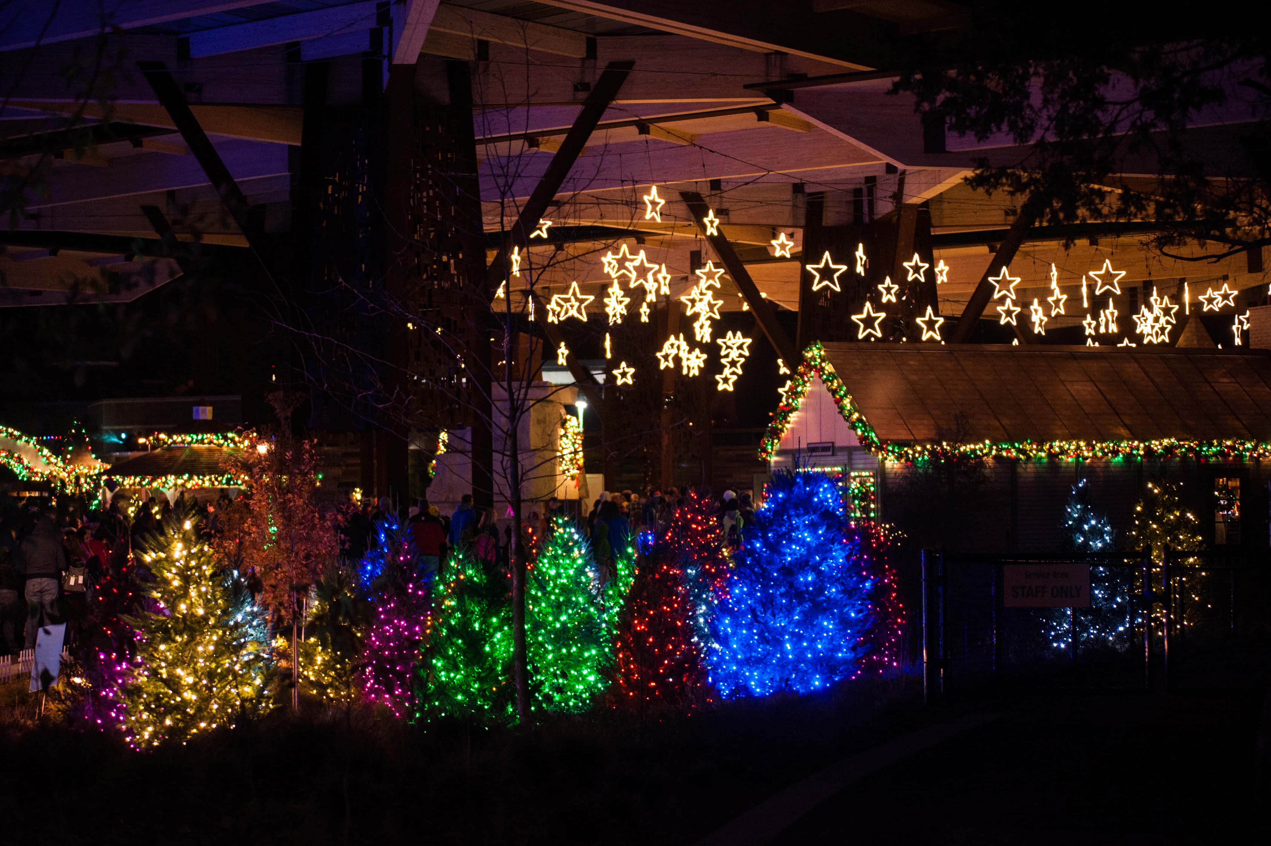 Christmas Lights At The Indianapolis Zoo Literacy Basics