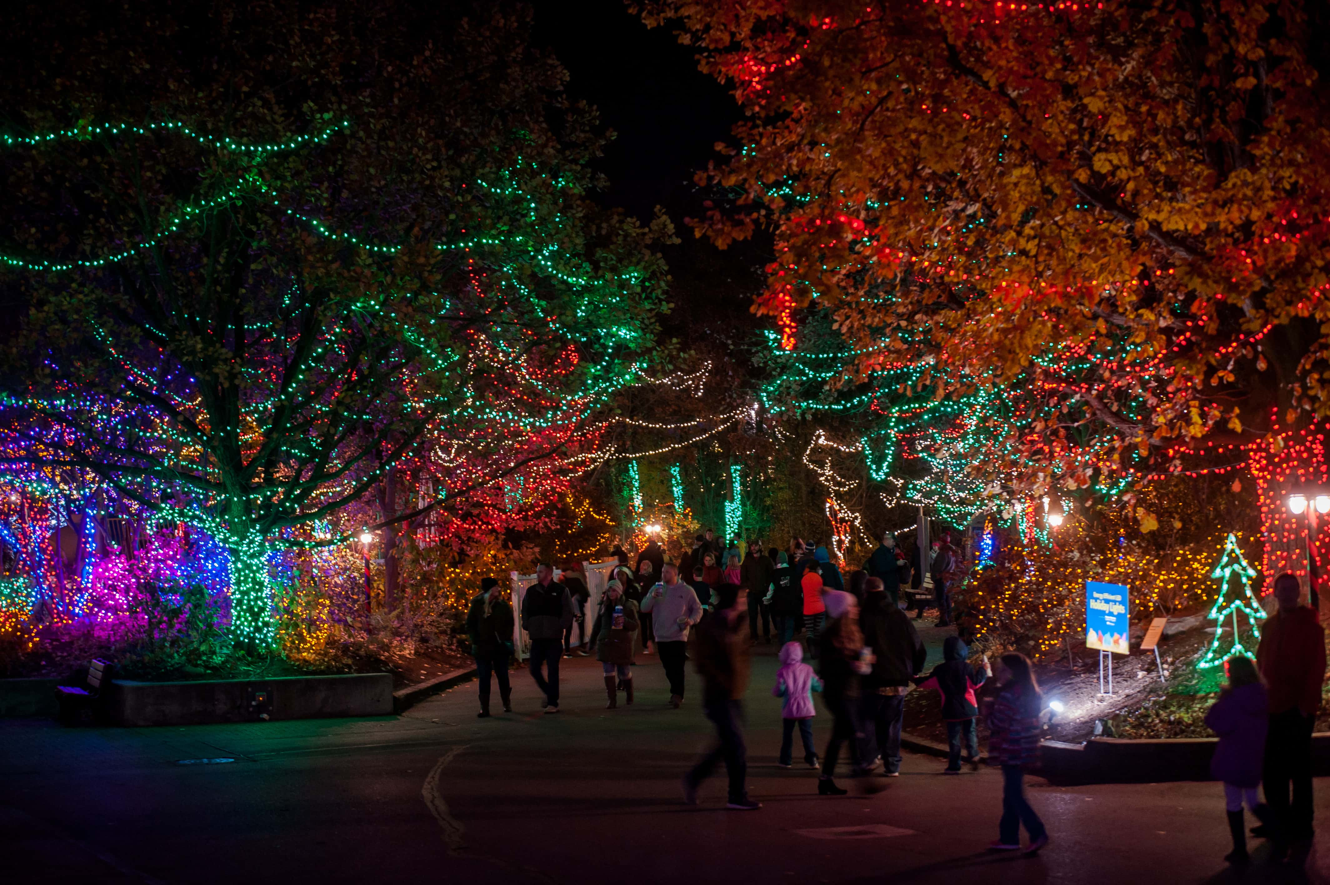 Christmas Lights At The Indianapolis Zoo Are Bigger Than Ever The