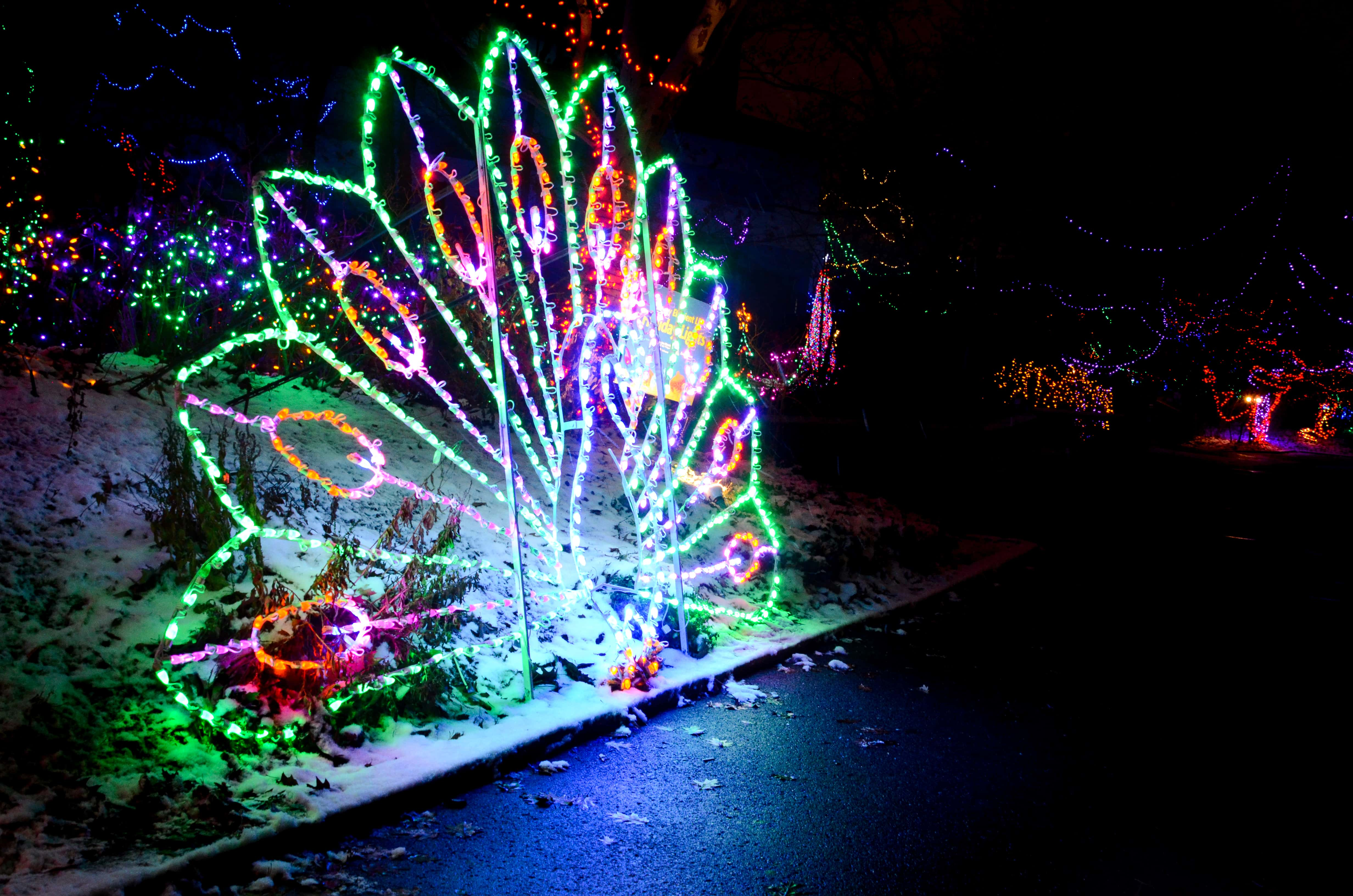 Christmas Lights At The Indianapolis Zoo Are Bigger Than Ever The