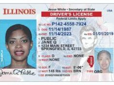 illinois-drivers-license