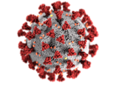 coronavirus-white-background