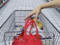 purse-in-shopping-cart