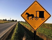 amish_buggy_newwebsite-jpg-2