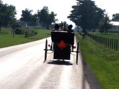 amish-horse-and-buggy-photo-blondieb38-morguefile-jpg-3