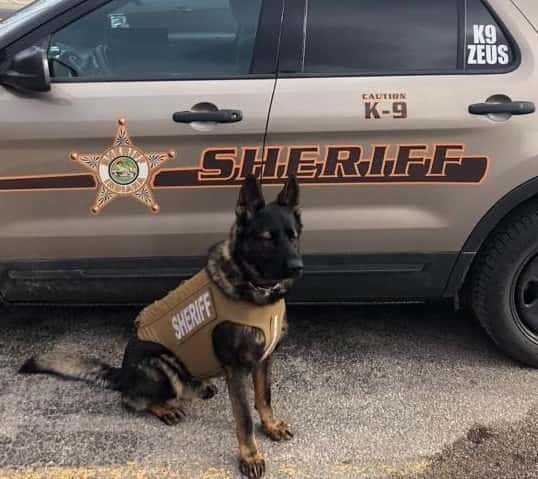 vermillion-k9-zeus-jpg