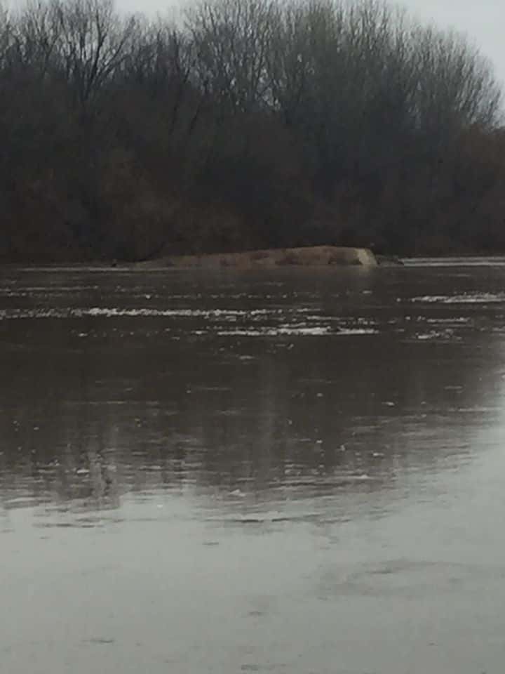 darwin-ferry-fb-page-jpg