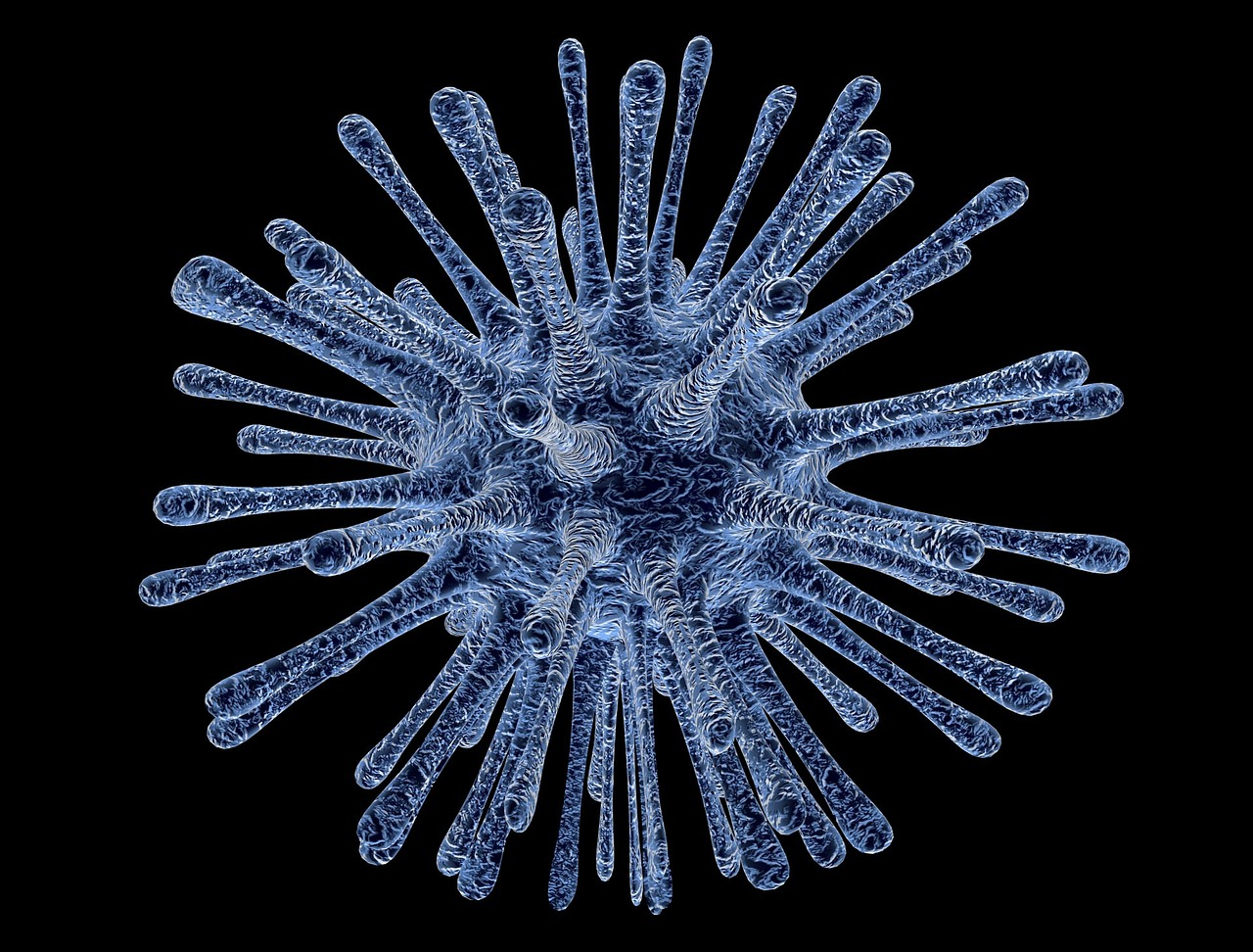 virus-213708_1280-jpg-2